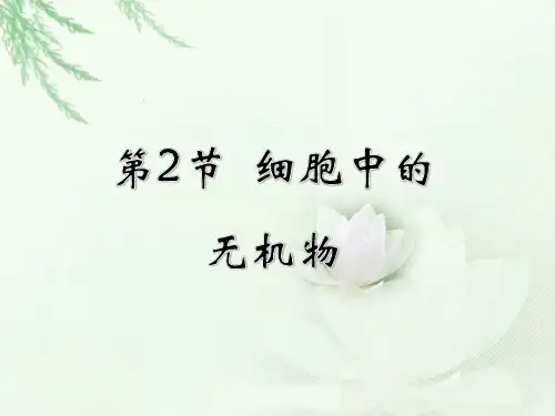 细胞中的无机物 课件-高一生物人教版(2019)必修1