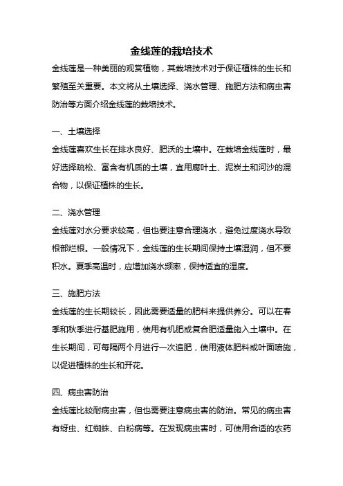 金线莲的栽培技术