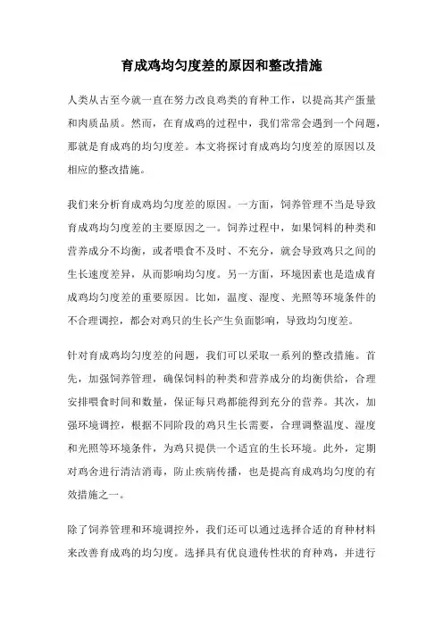 育成鸡均匀度差的原因和整改措施