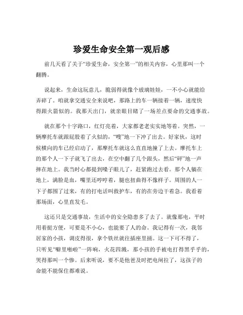 珍爱生命安全第一观后感