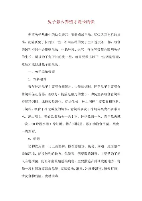 兔子怎么养殖才能长的快