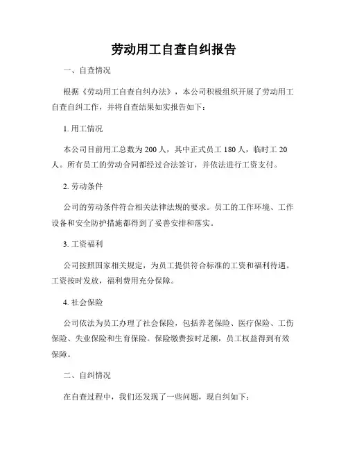 劳动用工自查自纠报告