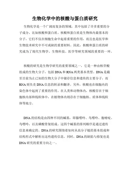 生物化学中的核酸与蛋白质研究