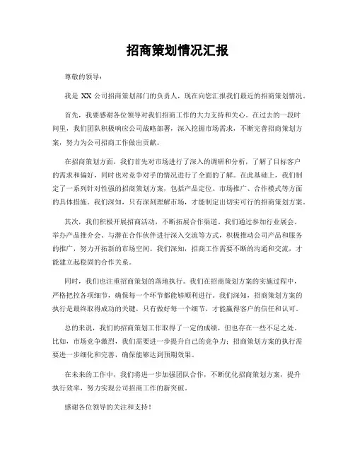 招商策划情况汇报