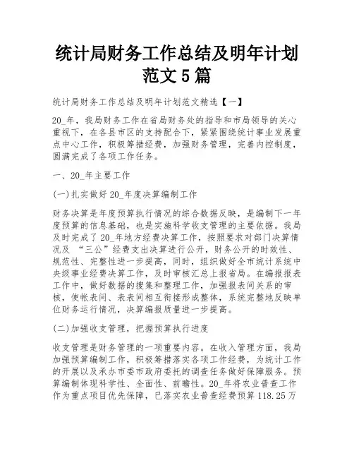 统计局财务工作总结及明年计划范文5篇