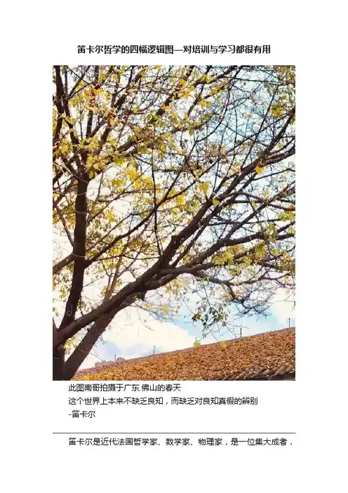 笛卡尔哲学的四幅逻辑图—对培训与学习都很有用