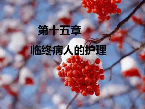 基础护理：临终护理
