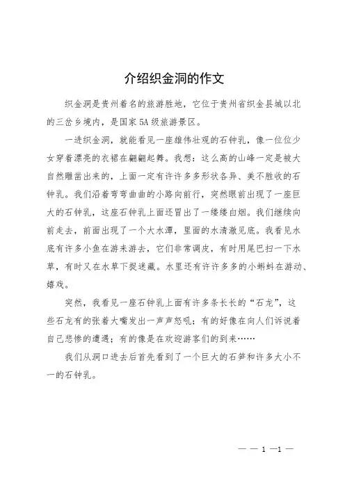 介绍织金洞的作文