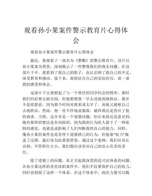 观看孙小果案件警示教育片心得体会