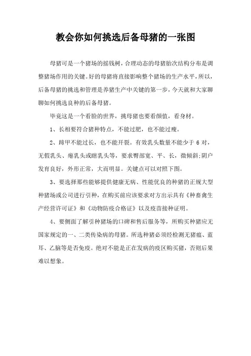 教会你如何挑选后备母猪一张图
