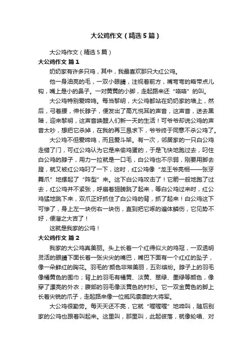大公鸡作文（精选5篇）