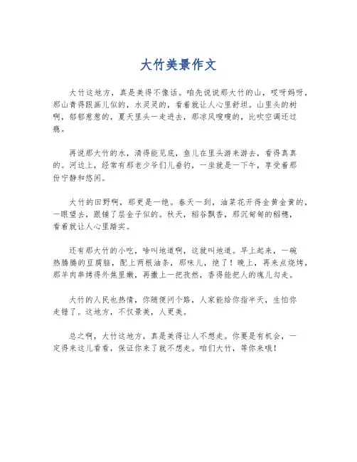 大竹美景作文