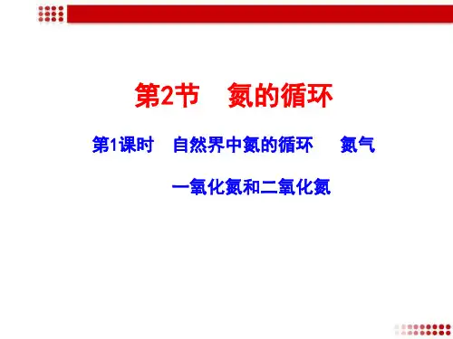 《氮的循环》课件1