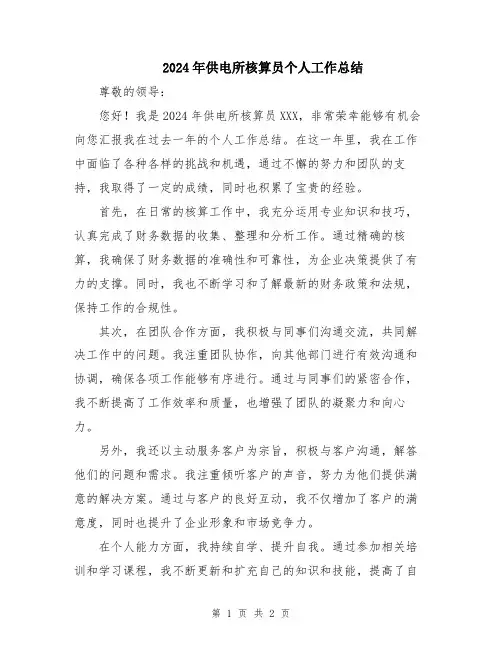 2024年供电所核算员个人工作总结