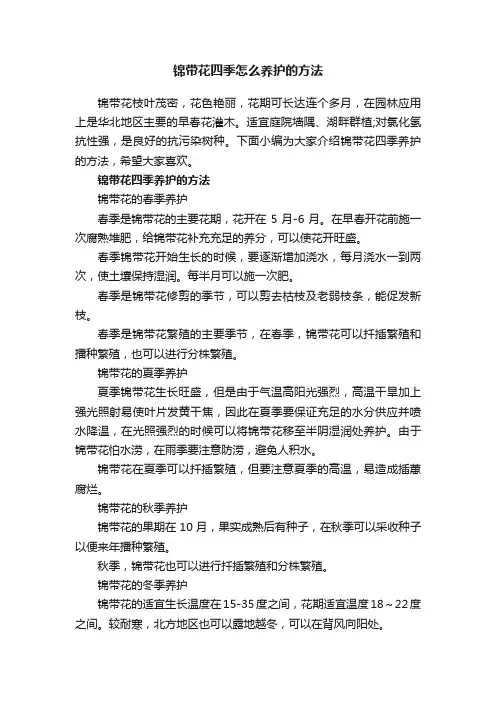 锦带花四季怎么养护的方法