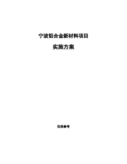宁波铝合金新材料项目实施方案