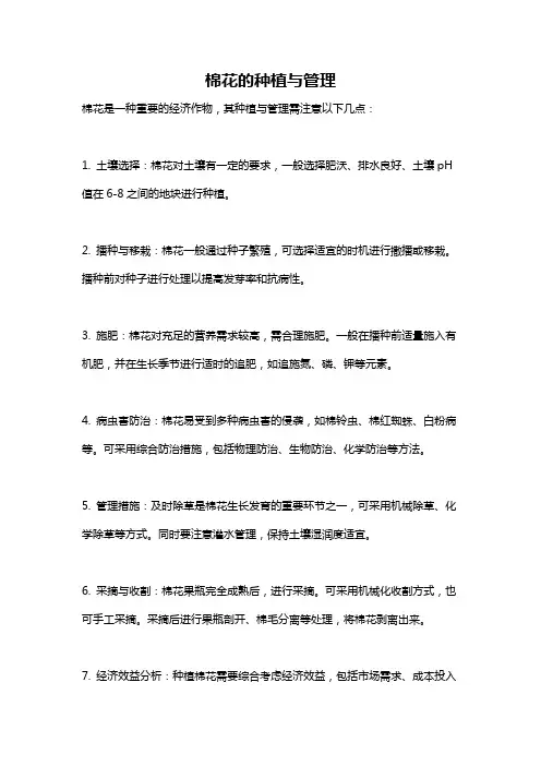 棉花的种植与管理