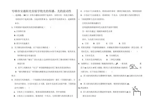 高中试卷试题复习光的传播光的波动性