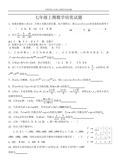 七年级上期数学培优试题