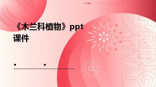 《木兰科植物》课件
