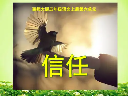 西师版五年级上册语文第23课《信任》课件PPT
