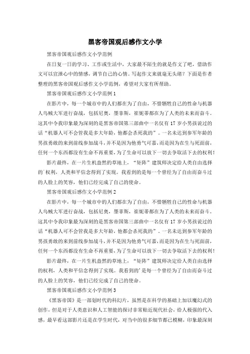 黑客帝国观后感作文小学