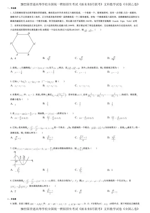 2022届普通高等学校全国统一模拟招生考试(新未来5月联考)文科数学试卷(全国乙卷)