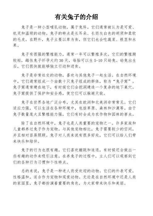 有关兔子的介绍