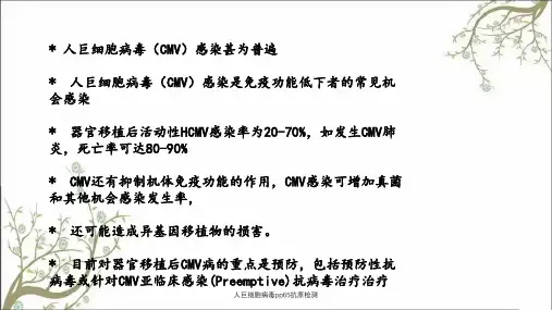 人巨细胞病毒pp65抗原检测
