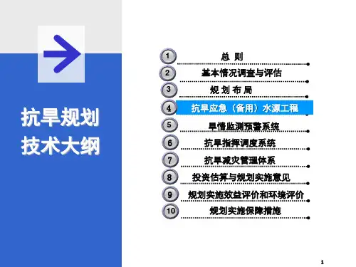 抗旱规划技术大纲课件