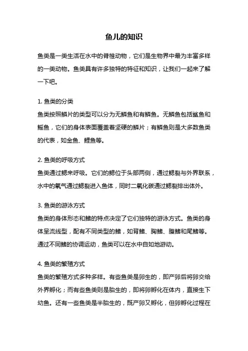 鱼儿的知识