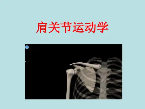肩关节运动学