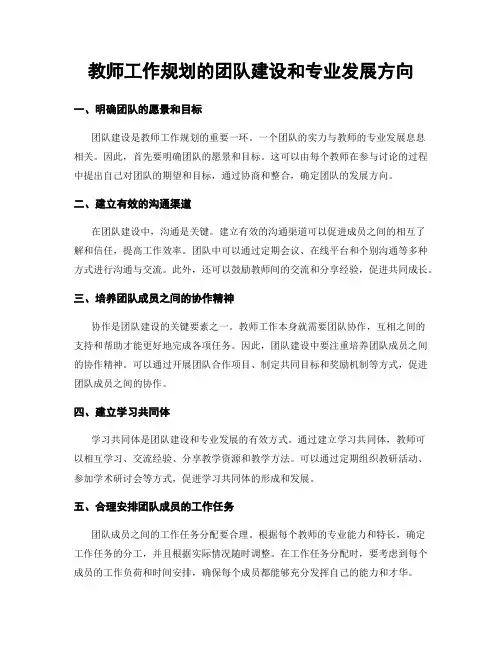 教师工作规划的团队建设和专业发展方向