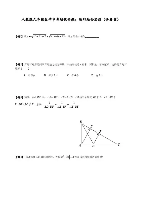人教版九年级数学中考培优专题：数形结合思想(含答案)