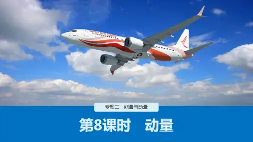 高考物理二轮专题复习讲练课件动量名师课件
