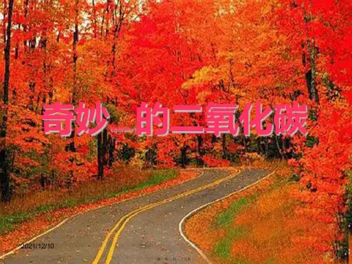 九年级化学上册2.2奇妙的二氧化碳