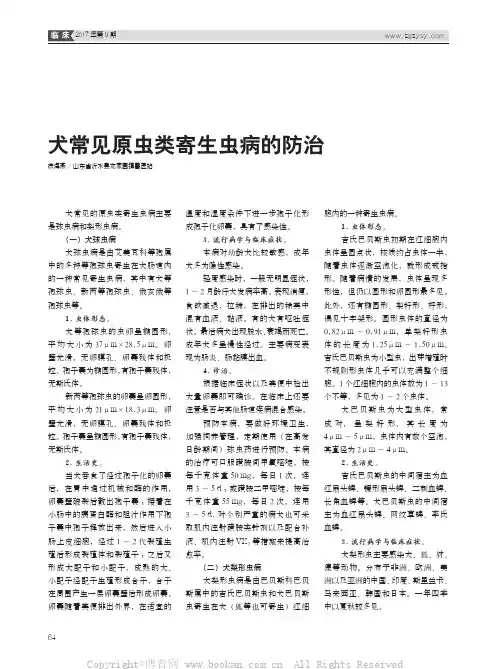 犬常见原虫类寄生虫病的防治
