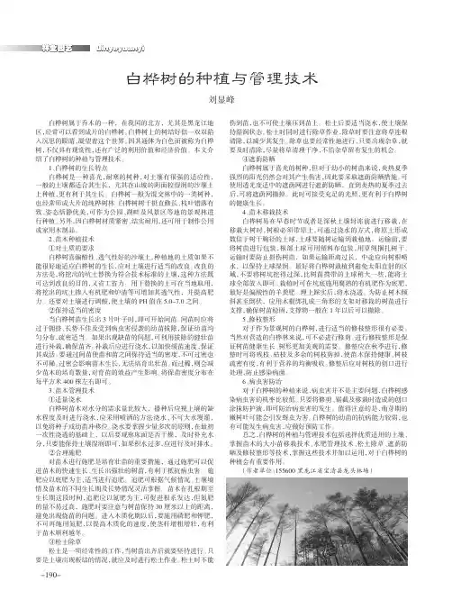 白桦树的种植与管理技术