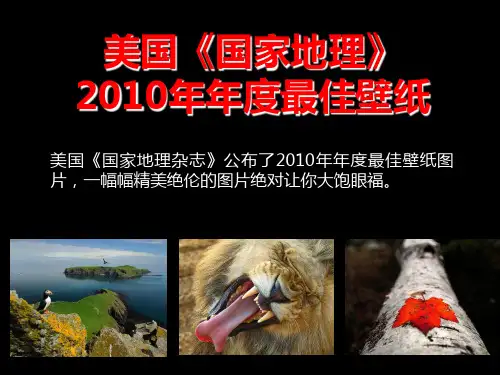 美国《国家地理》年度壁纸