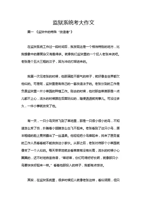 监狱系统考大作文