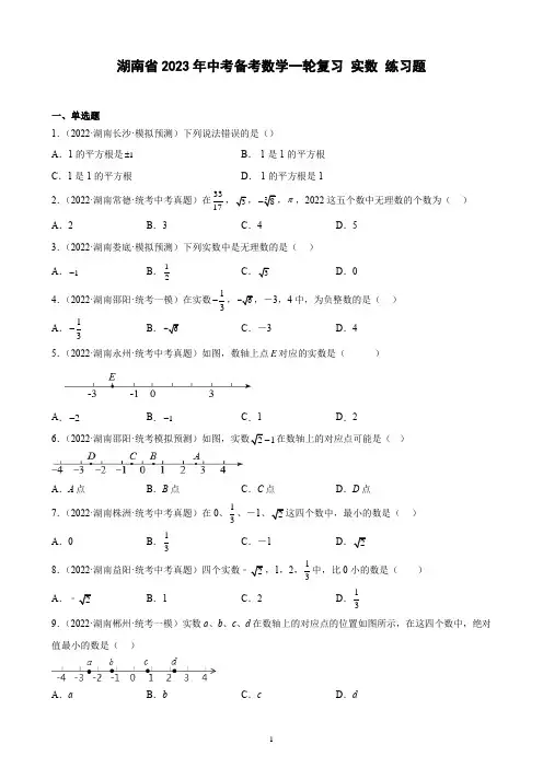 湖南省2023年中考备考数学一轮复习 实数 练习题