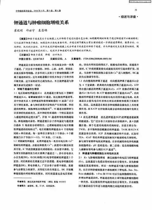 钾通道与肿瘤细胞增殖关系