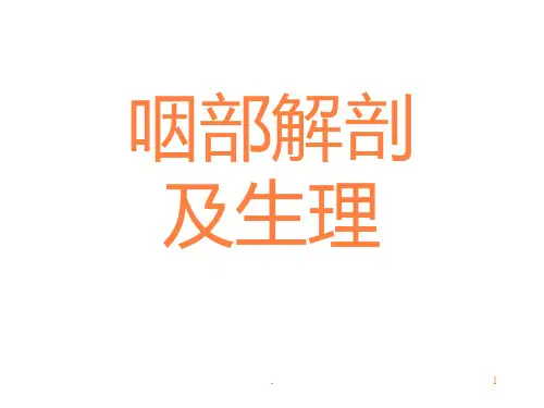 解剖咽ppt课件