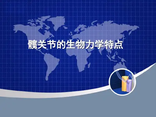 髋关节的生物力学特点