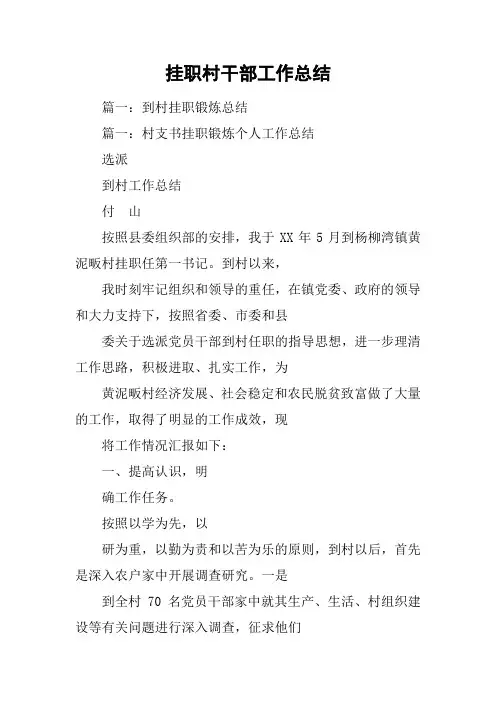 挂职村干部工作总结