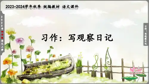 习作：写观察日记课件(共19张PPT)