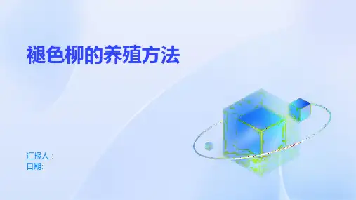 褪色柳的养殖方法