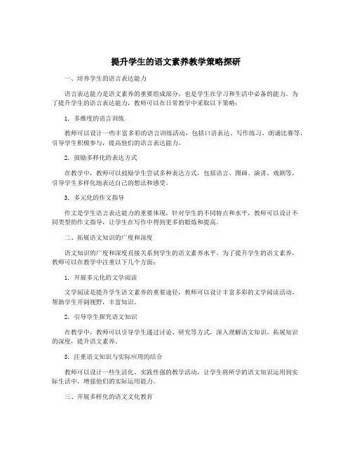 提升学生的语文素养教学策略探研