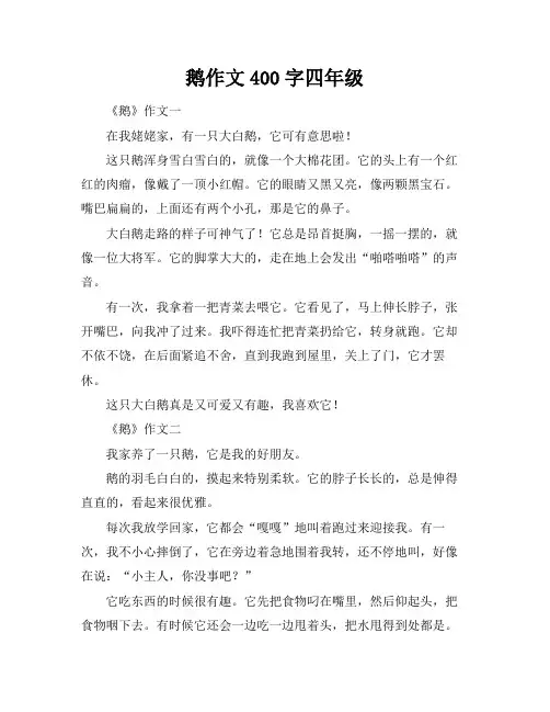 鹅作文400字四年级