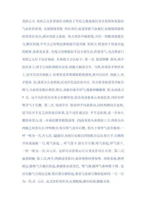 真阳之火(男人强肾必练)